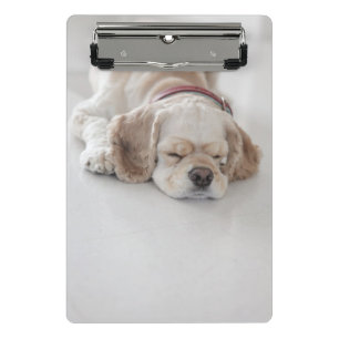 Cocker spaniel dog sleeping mini clipboard