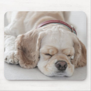 Cocker spaniel dog sleeping mouse pad