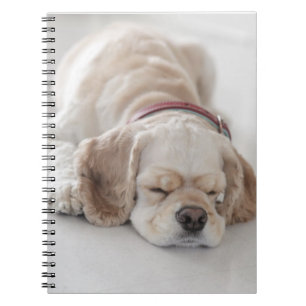 Cocker spaniel dog sleeping spiral notebook