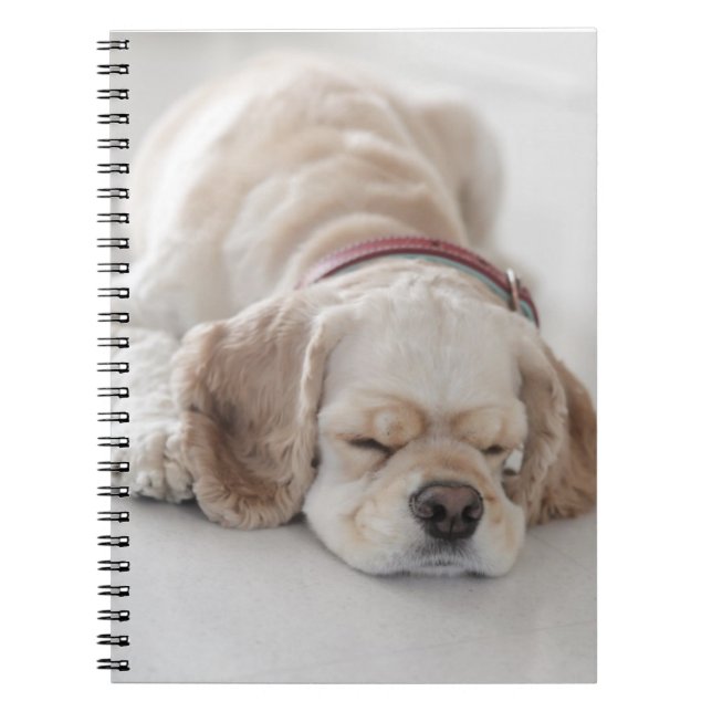 Cocker spaniel dog sleeping spiral notebook (Front)