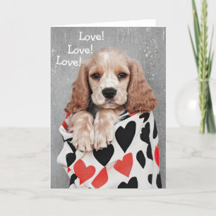 Cocker Spaniel  dog Valentine Card