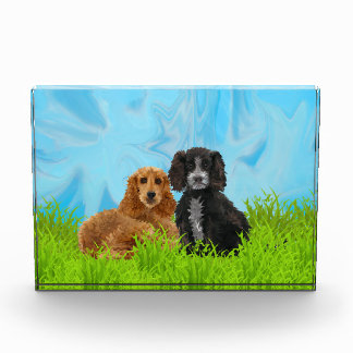 Cocker Spaniel Duo Photo Block