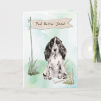Cocker Spaniel Feel Better After Surgery to Dog