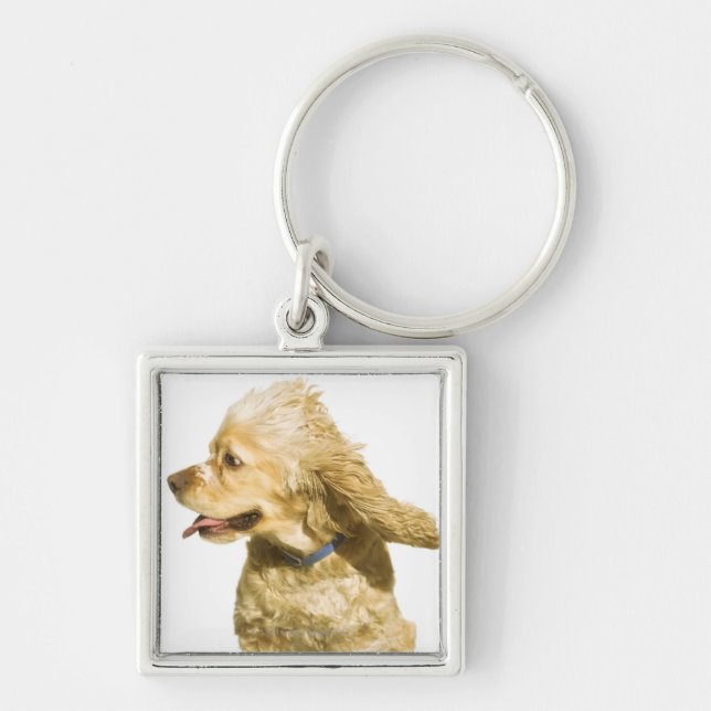 Cocker Spaniel Key Ring (Front)