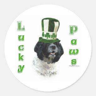 Cocker Spaniel Lucky Paws Classic Round Sticker