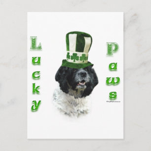 Cocker Spaniel Lucky Paws Postcard