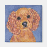 Cocker Spaniel Magnet - "Addie"