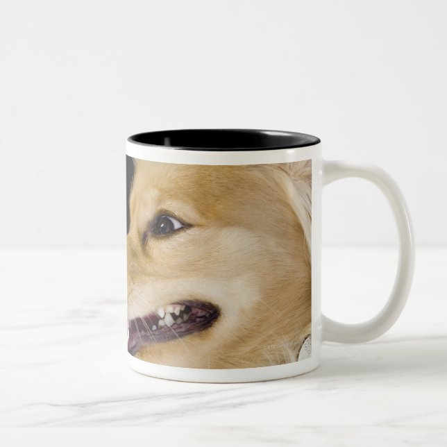 cocker spaniel mix on its back Two-Tone coffee mug (Right)