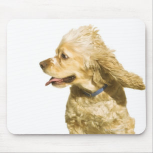 Cocker Spaniel Mouse Pad