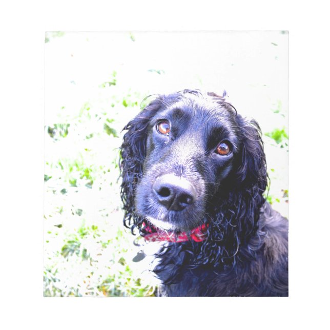 Cocker Spaniel Notepad (Front)