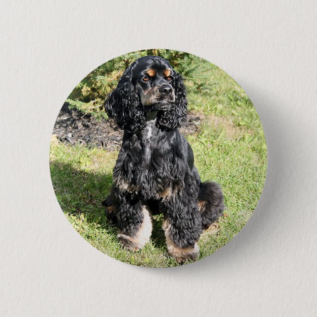Cocker Spaniel Photo 6 Cm Round Badge (Front)