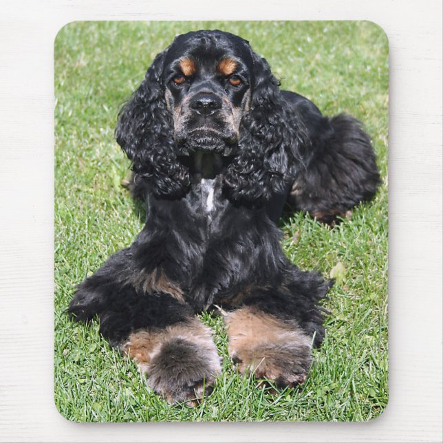 Cocker Spaniel Photo Mouse Pad (Front)