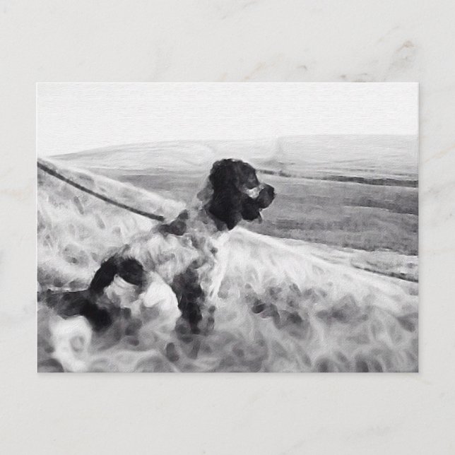 Cocker Spaniel Postcard (Front)