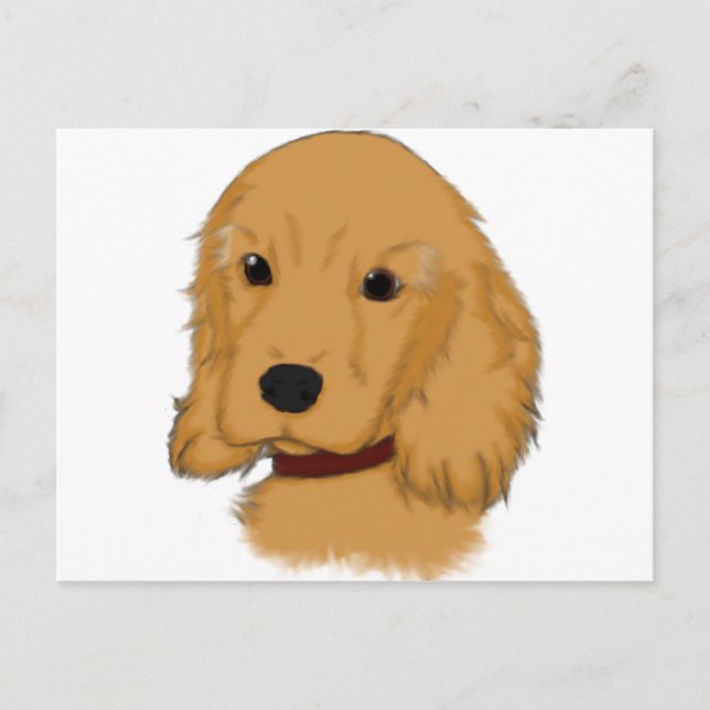 Cocker Spaniel Postcard (Front)