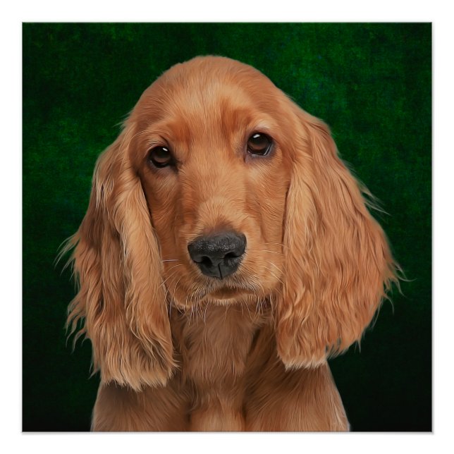 Cocker Spaniel Poster (Front)