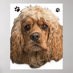 Cocker spaniel Poster