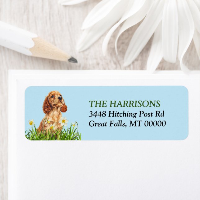 Cocker Spaniel Puppy Daffodil Garden (Insitu)