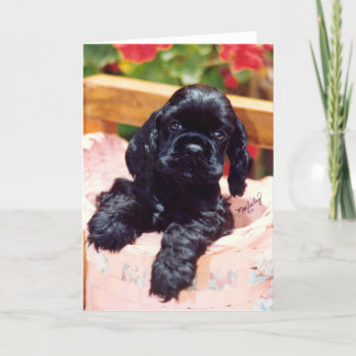 Cocker Spaniel puppy greeting card