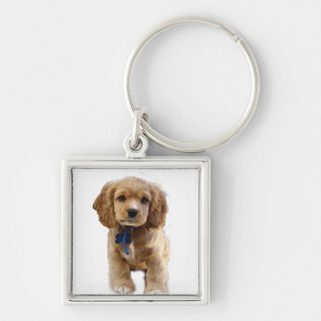 Cocker spaniel puppy keychain (Front)