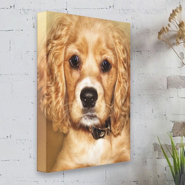 Cocker Spaniel Puppy  Portrait Canvas Wrap (Creator Uploaded)