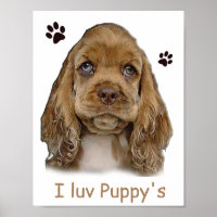 Cocker spaniel puppy poster