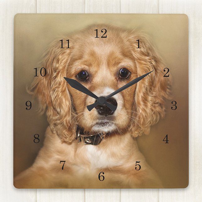 Cocker Spaniel  Puppy Square Wall Clock (Creator Uploaded)