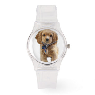 Cocker spaniel puppy watch