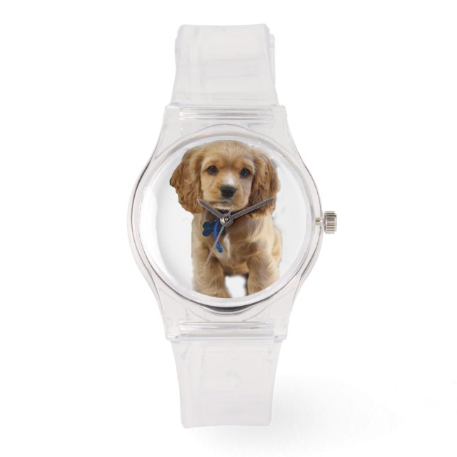 Cocker spaniel puppy watch (Front)