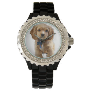 Cocker spaniel puppy watch