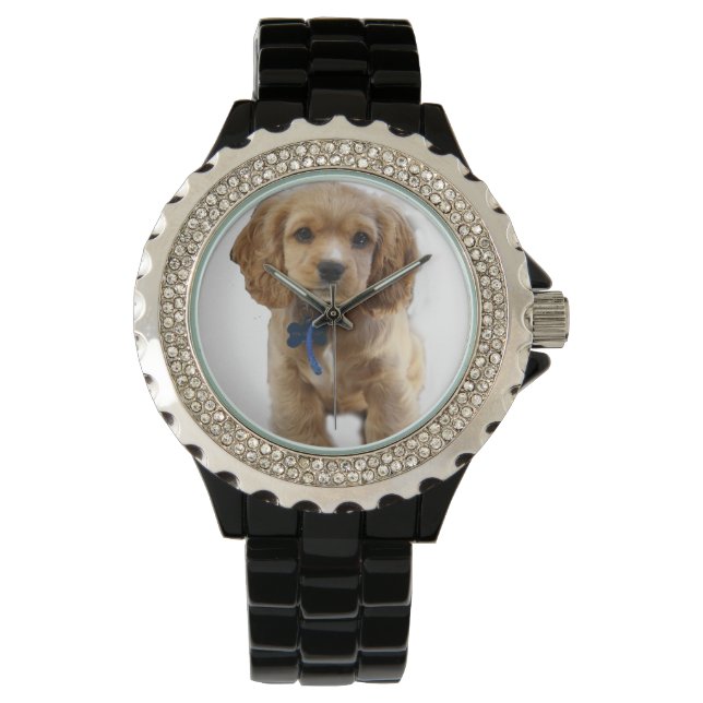 Cocker spaniel puppy watch (Front)