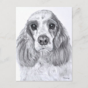 Cocker Spaniel Red White Art Postcard