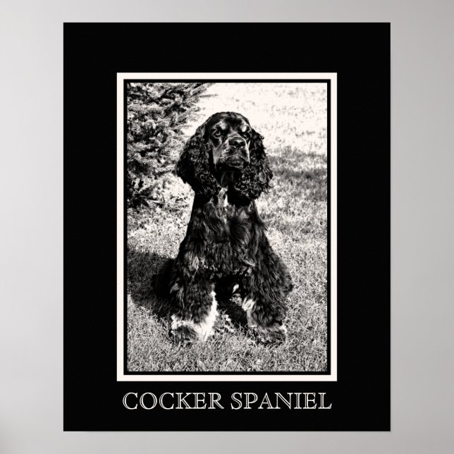 Cocker Spaniel Sketch Poster (Front)