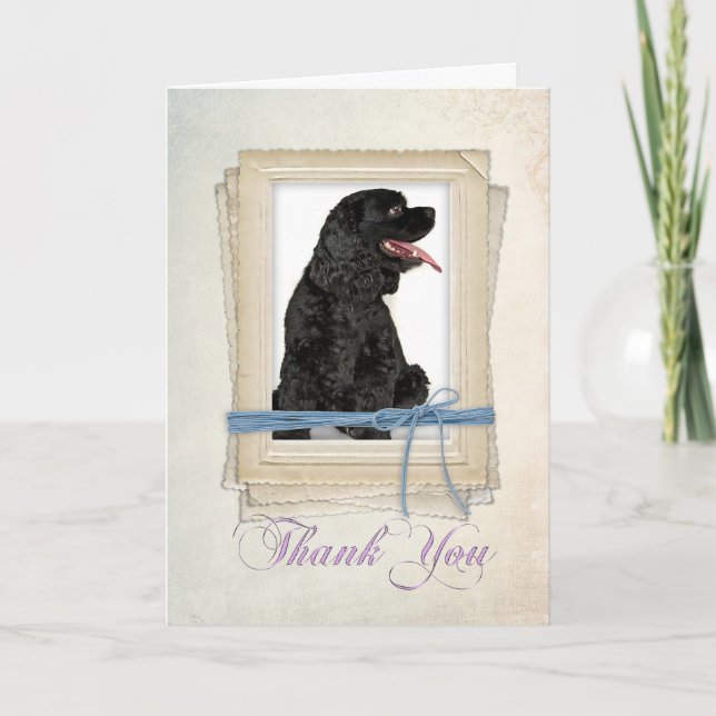 Cocker Spaniel Thank You Card (Front)