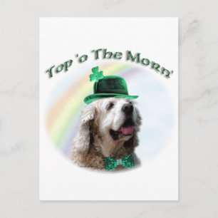 Cocker Spaniel Top of the Morn'; St. Patrick's day Postcard