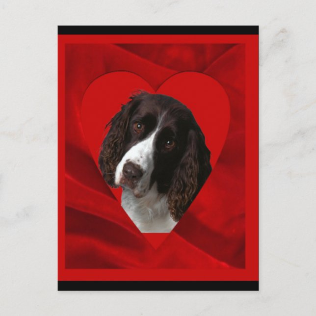 Cocker Spaniel Valentine Holiday Postcard (Front)