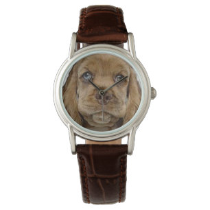   Cocker Spaniel watch