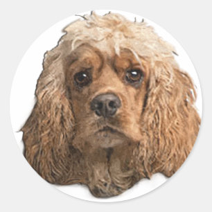 cocker Spaniels Classic Round Sticker