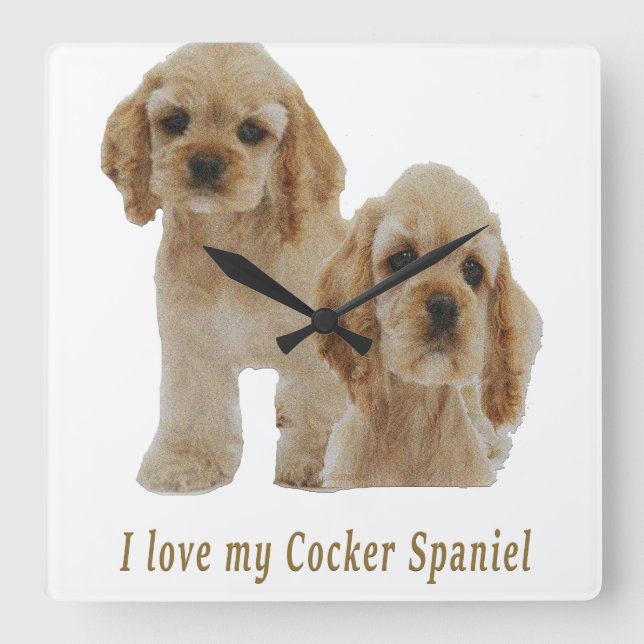 cocker spaniels square wall clock (Front)