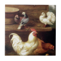 Cockerel Hen And Chicks With Pigeons Farm Animals