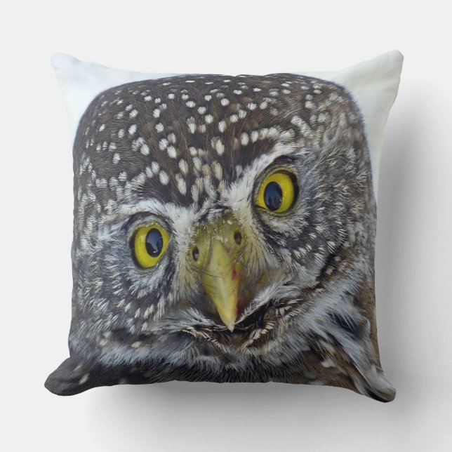 Cockeyed Owl Cushion (Front)