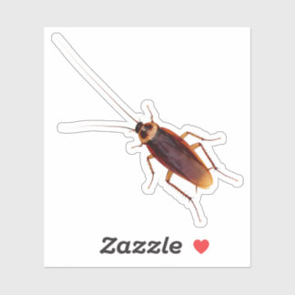 Cockroach
