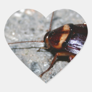 Cockroach! Heart Sticker