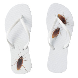 Cockroach Jandals