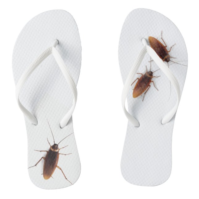 Cockroach Jandals (Footbed)