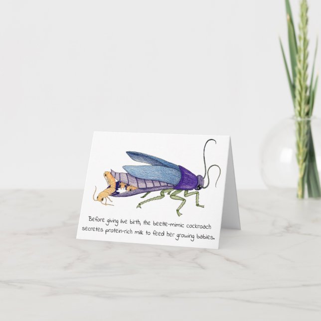 Cockroach Mother's Day Card (Front)
