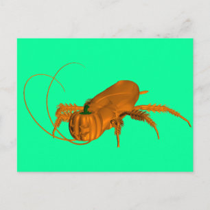 Cockroach Postcard