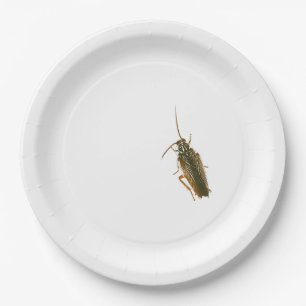Cockroach prank plate
