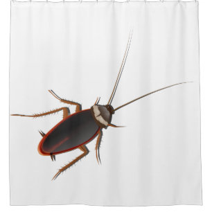 Cockroach Shower Curtain