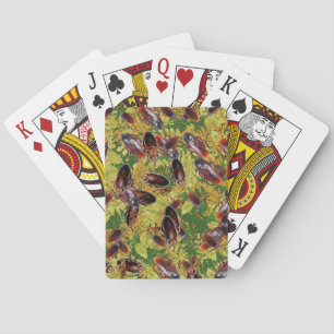 Cockroaches Playing Cards
