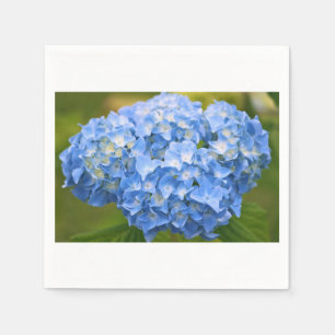 Cocktail Napkin Hydrangea